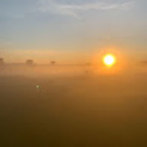 Meet your Posher, Kristin